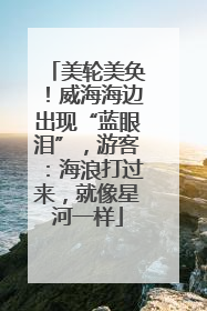 美轮美奂！威海海边出现“蓝眼泪”，游客：海浪打过来，就像星河一样