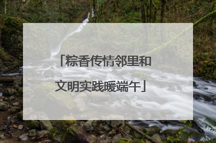 粽香传情邻里和 文明实践暖端午