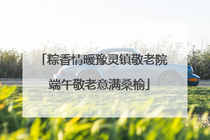 粽香情暖豫灵镇敬老院 端午敬老意满桑榆