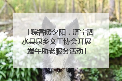 粽香暖夕阳，济宁泗水县泉乡义工协会开展端午助老服务活动