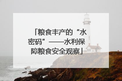粮食丰产的“水密码”——水利保障粮食安全观察