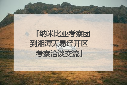 纳米比亚考察团到湘潭天易经开区考察洽谈交流