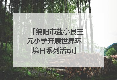 绵阳市盐亭县三元小学开展世界环境日系列活动