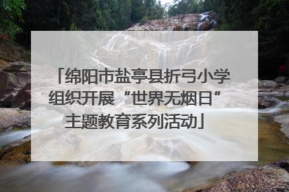 绵阳市盐亭县折弓小学组织开展“世界无烟日”主题教育系列活动