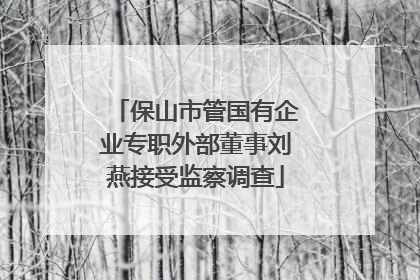 保山市管国有企业专职外部董事刘燕接受监察调查