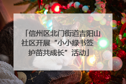 信州区北门街道吉阳山社区开展“小小绿书签 护苗共成长”活动