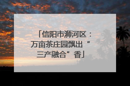 信阳市浉河区：万亩茶庄园飘出“三产融合”香