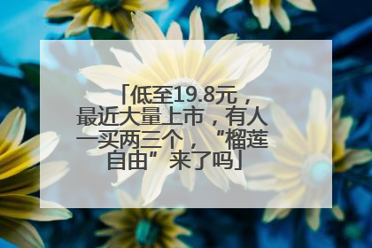 低至19.8元，最近大量上市，有人一买两三个，“榴莲自由”来了吗