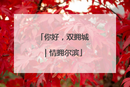 你好，双拥城｜情拥尔滨