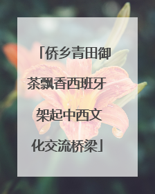 侨乡青田御茶飘香西班牙 架起中西文化交流桥梁