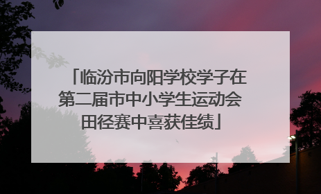 临汾市向阳学校学子在第二届市中小学生运动会田径赛中喜获佳绩