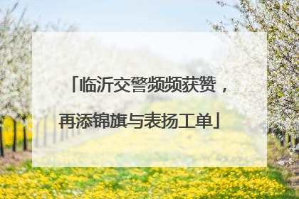 临沂交警频频获赞，再添锦旗与表扬工单