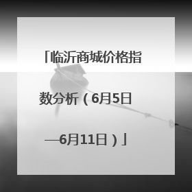 临沂商城价格指数分析（6月5日—6月11日）