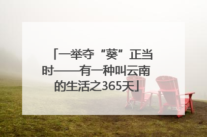 一举夺“葵”正当时——有一种叫云南的生活之365天