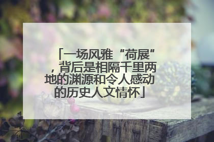 一场风雅“荷展”，背后是相隔千里两地的渊源和令人感动的历史人文情怀
