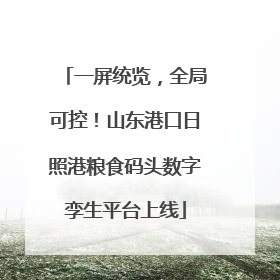 一屏统览，全局可控！山东港口日照港粮食码头数字孪生平台上线