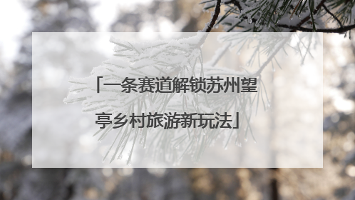 一条赛道解锁苏州望亭乡村旅游新玩法