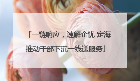 一链响应，速解企忧 定海推动干部下沉一线送服务