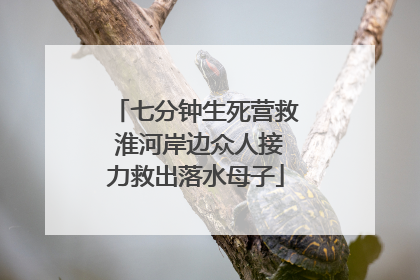七分钟生死营救 淮河岸边众人接力救出落水母子
