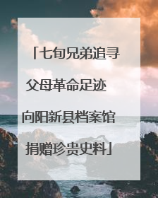 七旬兄弟追寻父母革命足迹 向阳新县档案馆捐赠珍贵史料