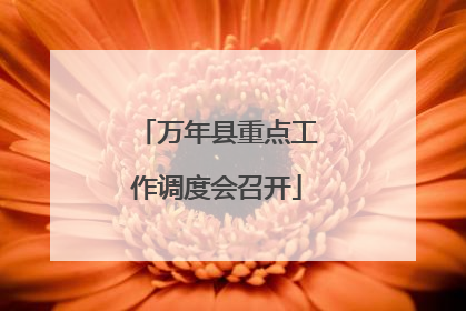 万年县重点工作调度会召开