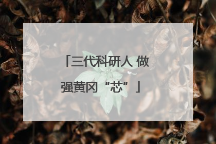 三代科研人 做强黄冈“芯”