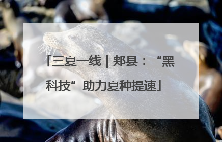 三夏一线｜郏县：“黑科技”助力夏种提速