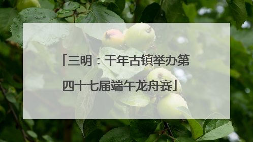 三明：千年古镇举办第四十七届端午龙舟赛