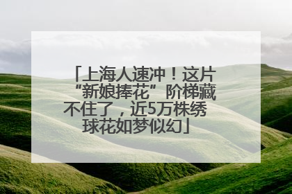 上海人速冲!这片“新娘捧花”阶梯藏不住了,近5万株绣球花如梦似幻