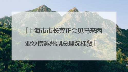 上海市市长龚正会见马来西亚沙捞越州副总理沈桂贤