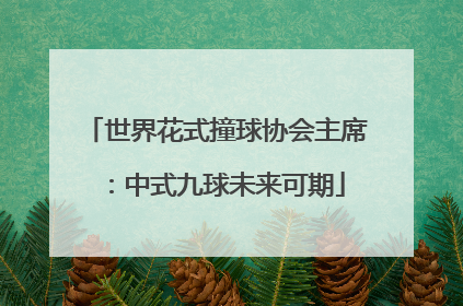世界花式撞球协会主席：中式九球未来可期