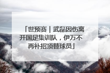 世预赛｜武磊因伤离开国足集训队，伊万不再补招顶替球员