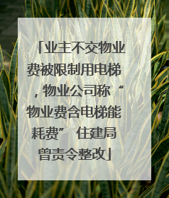 业主不交物业费被限制用电梯，物业公司称“物业费含电梯能耗费” 住建局曾责令整改