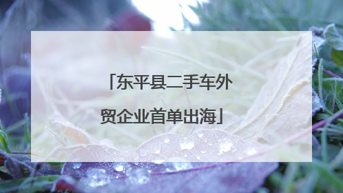 东平县二手车外贸企业首单出海