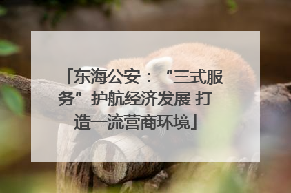 东海公安：“三式服务”护航经济发展 打造一流营商环境
