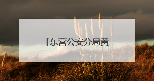 东营公安分局黄河路派出所一日获赠两面锦旗