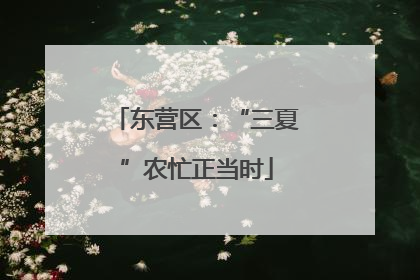东营区：“三夏”农忙正当时