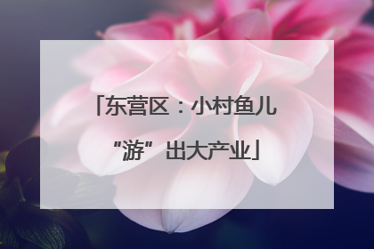 东营区：小村鱼儿“游”出大产业