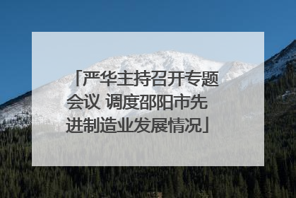 严华主持召开专题会议 调度邵阳市先进制造业发展情况