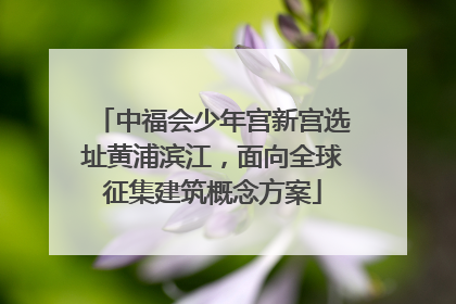 中福会少年宫新宫选址黄浦滨江，面向全球征集建筑概念方案