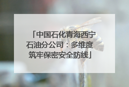 中国石化青海西宁石油分公司：多维度筑牢保密安全防线