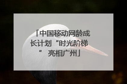 中国移动网龄成长计划“时光阶梯” 亮相广州