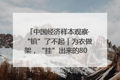 中国经济样本观察·“镇”了不起｜为衣做架，“挂”出来的80亿元“衣架产业”
