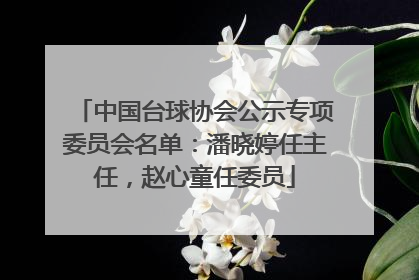 中国台球协会公示专项委员会名单：潘晓婷任主任，赵心童任委员