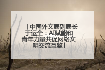 中国外文局副局长于运全：AI赋能和青年力量共促网络文明交流互鉴