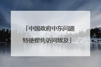 中国政府中东问题特使翟隽访问埃及