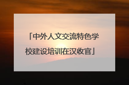 中外人文交流特色学校建设培训在汉收官