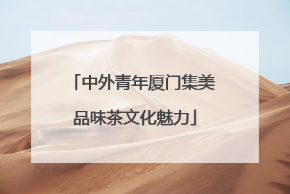 中外青年厦门集美品味茶文化魅力