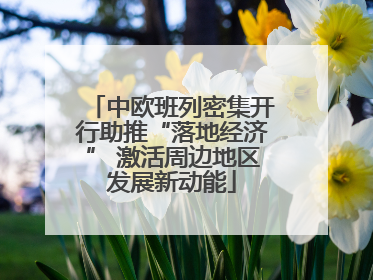 中欧班列密集开行助推“落地经济” 激活周边地区发展新动能