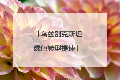 乌兹别克斯坦绿色转型提速